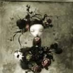 Meet your Posher, Fiona